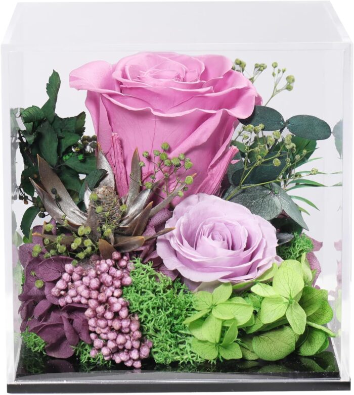 Flowers for Delivery Prime Preserved Flowers Real Roses in Acrylic Clear Box,Handmade Long Lasting Real Flower Gift for All Holiday Gifting Home Office Decoration(Purple Rose)