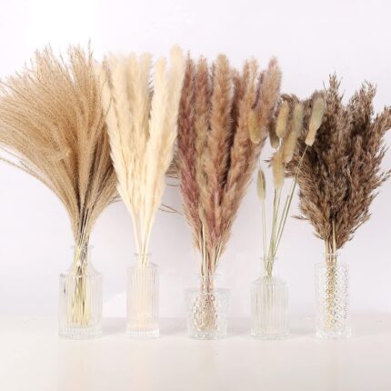 N&T NETING 75Pcs Pampas Grass Decor-10Pcs White Pampas Grass, 20Pcs Brown Pampas Grass, 10Pcs Bunny Tails, 30Pcs Reed,5Pcs Fluffy Dried Pompas Grass Flowers for Fall Home Wedding Table Vase Boho Decor